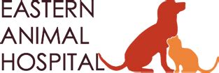 Eastern animal hospital - Eastern Animal Hospital has been setting the Standard in Veterinary Medicine, Surgery and Client Exp. Page · Veterinarian. 6575 Eastern Ave., Baltimore, MD, United States, Maryla 